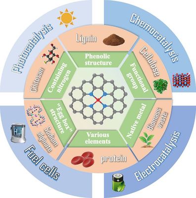 天津科技大學(xué)司傳領(lǐng)、王冠華等Adv. Colloid Interfac.綜述: 生物質(zhì)衍生碳基單原子催化劑的制備及應(yīng)用