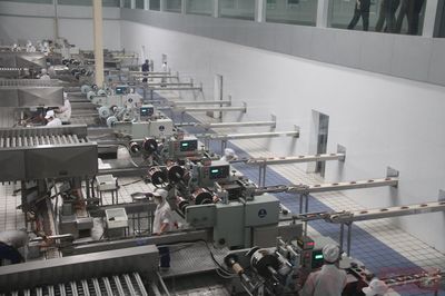 百城提質(zhì):以業(yè)興城的&ldquo;南樂實(shí)踐&rdquo;