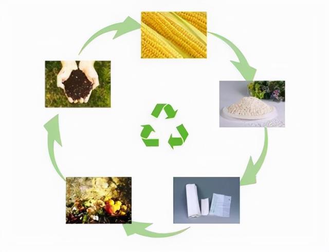 關于"生物基",大家知多少?加速"碳中和"的重要材料